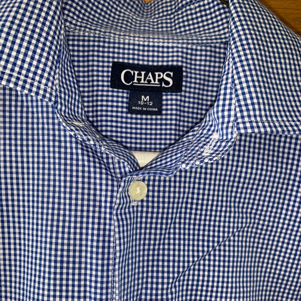 Blue checked gingham shirt